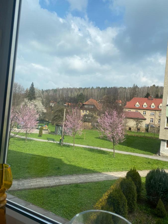 Appartamento Apartament Centrum Polanica-Zdrój Esterno foto